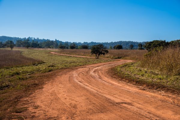 Dirt Driveway Repair in Louisville