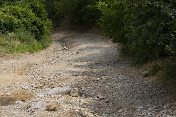 Gravel Road Pothole Repair in Louisville